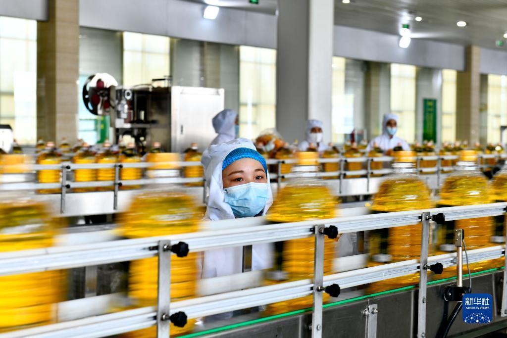 注册就送的老虎机平台